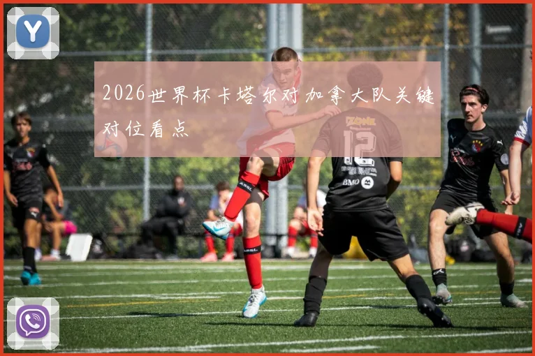 2026世界杯卡塔尔对加拿大队关键对位看点